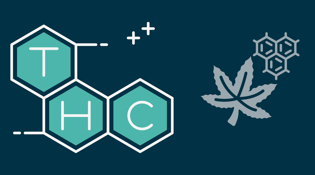 How Well Does THCA Get Along with Delta 8, Delta 10, THCV, and THCP?